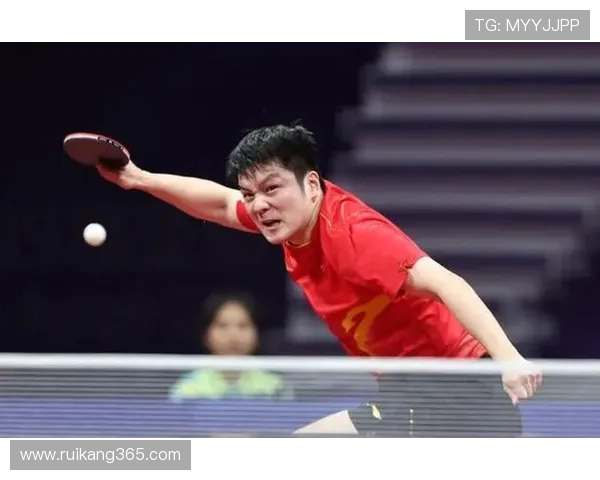 乒乓球战术：成都乒乓球队的阵地战体系