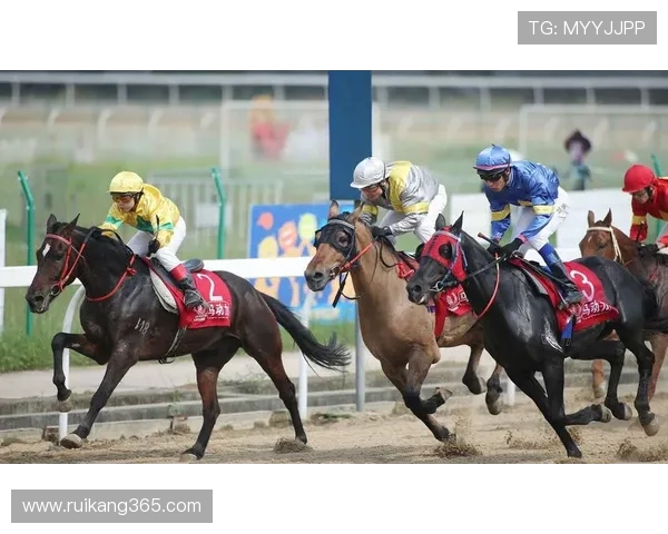 加克波的崛起与未来展望:从青年才俊到足球明星的成长之路